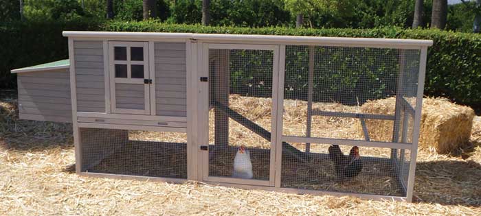  - Yards / 5 - 9 Chickens / Extreme Hen House Coop by Precision Pet